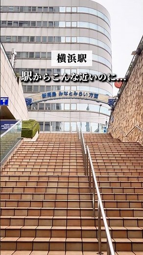 【横浜駅】予約なしでは土日は入れないことも。アクセス・雰囲気◎ランチ #pr #横浜グルメ
