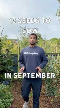 Seeds to sow in September