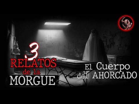❌ 3 HISTORIAS Aterradoras en la MORGUE │ Historias De Terror - Inframundo Relatos