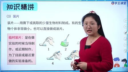 玻片标本的类型和制作