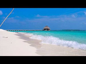 Tropical Beach: 12 Hours of Pure Coastal Calm. Ocean Waves Sounds