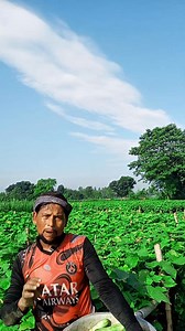 ভাইয়ের বউ ভাবিরা | Hero Nana