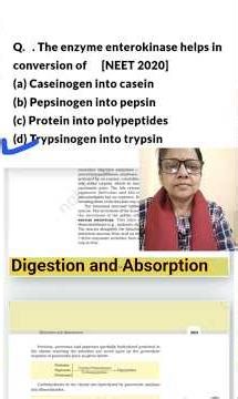 #digestionandabsorption #neetbiology #quickrevision #ncertbiology #study #ytshorts #yt