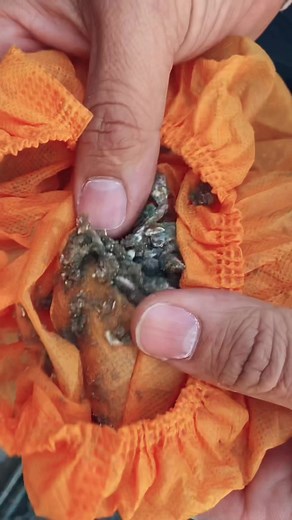 Plomeroenphoenix on TikTok