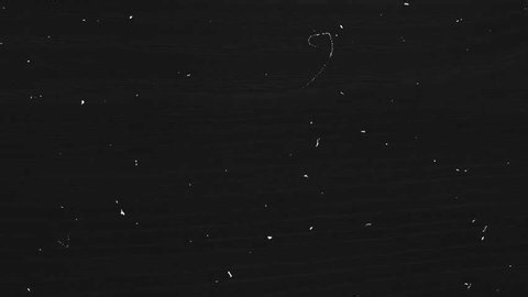 clip-3997550767-vintage-old-film-grain-scratch-texture-overlay