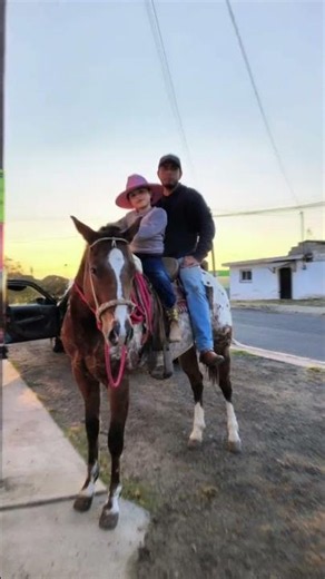 vaquerita ganadera