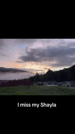 🌷 (@sdiybt_420)’s videos with original sound - noahrinker