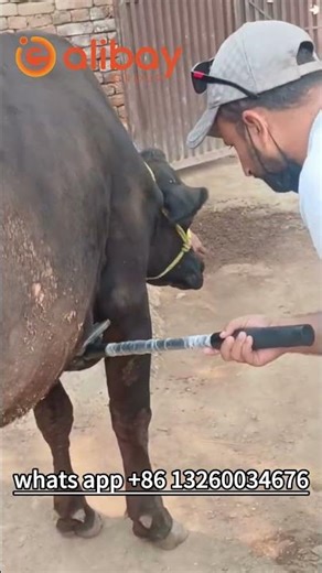 How To Metal Detect TRP +ve with beep of metal detector