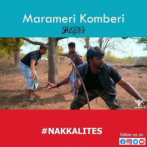 1.9M views · 10K reactions | Ammuchi | Season 01 - EP 03 - Marameri Komberi | Tamil Web Series Nakkalites #Nakkalites #Ammuchi #TamilWebSeries | Nakkalites | Facebook