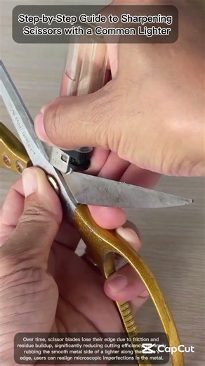 The ultimate life hack for maintaining sharp and precise scissors👍