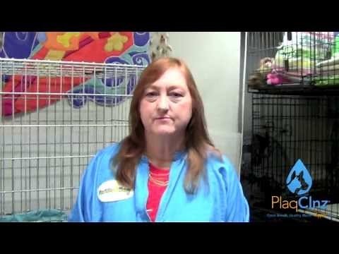 PlaqClnz Oral Cleansing System