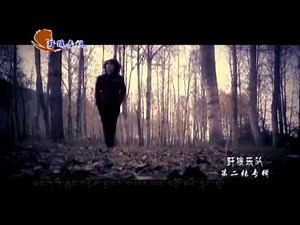 Tibetan wolf band 2012 - The wolf is back (full Album)