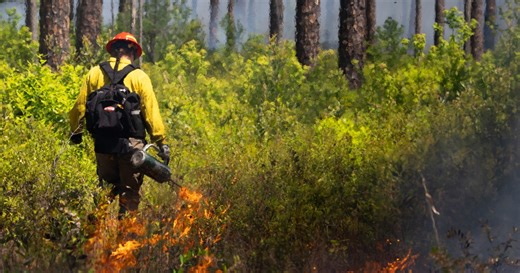 NASA budget cuts put wildfire fighting programs at risk