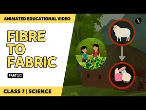 Fibre To Fabric | NCERT Class 7 Science Chapter 3 | Part 2/2 | English Explanation | Class 7