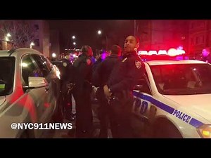 NYPD Action: Perp Resisting Arrest After Fight