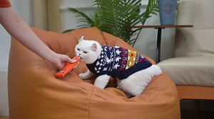 PUPTECK Christmas Cat Sweater, Soft Warm Turtleneck Pet Winter Clothes, Kitten Sweater Apparel, Knitwear Coat for Cats Puppy Outfit Cold Weather Clothes, Red&Green S