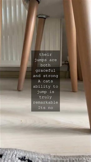 The Amazing Jump of Cats Did you know cats can jump up to five times their own height...