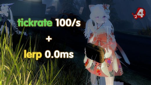 [L4D2] 本地实行100tick与0lerp搭配，解决小僵尸卡顿问题