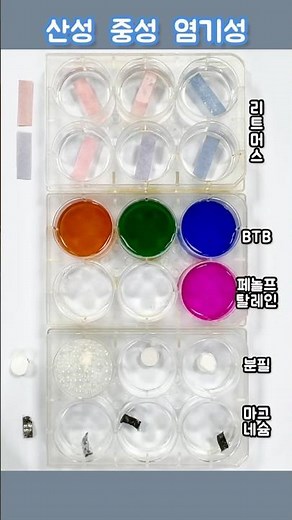 산성, 중성, 염기성(알칼리성) #Acidic #Neutral #Basic #Alkaline#리트머스 #BTB #분필 #마그네슘