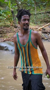 I'm here riverside Grenada with Joachim @joachimjammeal cooking up some nice vegetarian/ital Zucchini Fritters! This man can cook like a boss, and catch like a boss! He's also making some tania log (taro porridge), so check back soon... bless up Vid by @mattyp.tv Chef- @joachimjammeal | Ras Kitchen