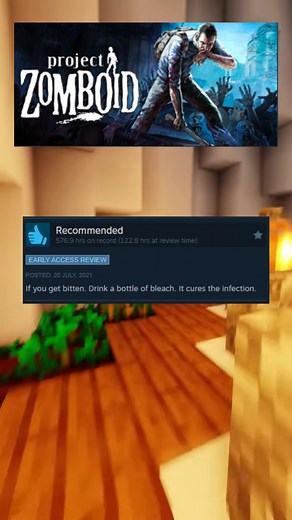 dondreamscape | Project Zomboid Reviews #projectzomboid #steam #review #gamereview #game | Instagram