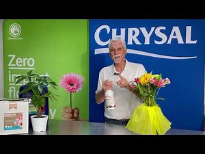 Hawaiian Floral Mist: The Ultimate Bio-Reactive Floral Spray for Flower Bliss!