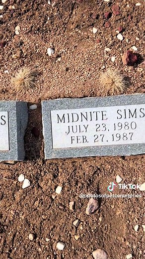 Exploring Pet Rest Memorial Park in Colorado Springs