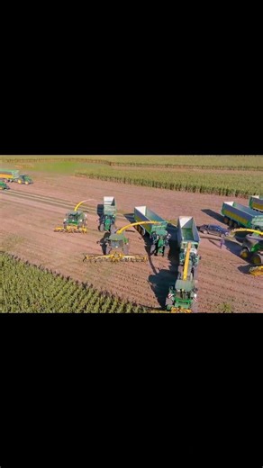 “Massive Farming Operation | Multiple Forage Harvesters Working Together in the Field”