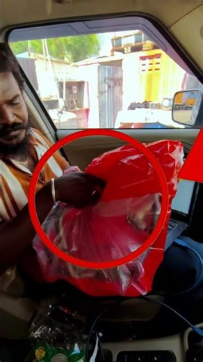 Mahindra Bolero Neo SCR fault, Bolero Neo SCR problem solution Mahindra SCR system 📲 8438201044