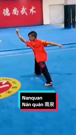 Taolu Nanquan 3rd Set in International Wushu Competition