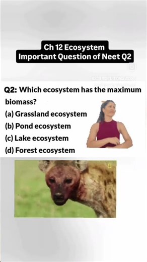 Class12 Biology Ch12 Ecosystem Important Question for Neet | Neet important Question practice #bio