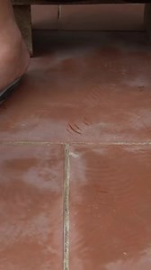 Turn The Washing Machine Motor Into A Permanent Water Turbine Generator #diy | DIY Balcony Garden