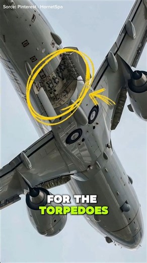 Boeing B737 with bomb bay!