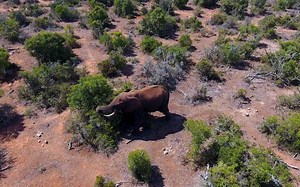 【纪录片】进化 Evolution.4K.2018.COMPLETE.UHD.BLURAY-UNTOUCHED