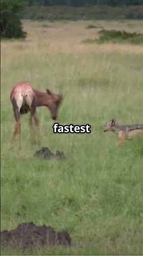 What Happens to Your Body When You Sneeze #shorts