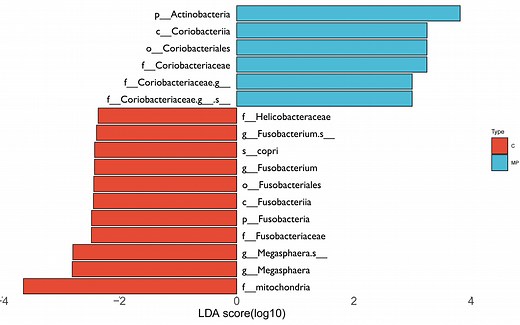 LEfSe分析及可视化经验分享