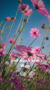 Because JESUS lives 💛 – Daily Devotional by Joyce Meyer | 06/14 #joycemeyerdeutschland