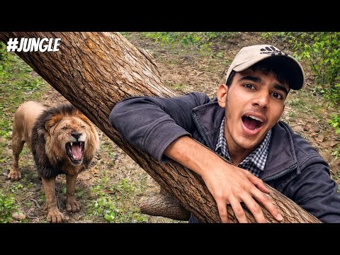 Jungle adventure with friends | Exploring, Cooking, and non stop fun
