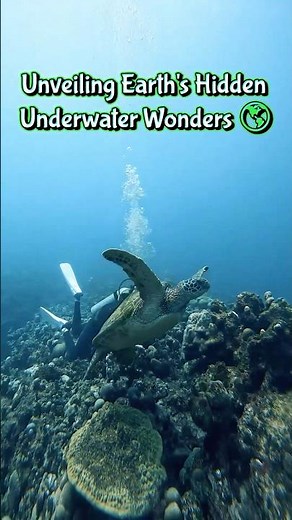 Unveiling Earth’s Hidden Underwater Wonders 🌊✨ | Unreal Deep Sea Beauty 🐠 #sea #divingdeeper #fish