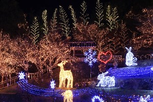 11 Fun & Christmas-y Things to do in CT in 2023