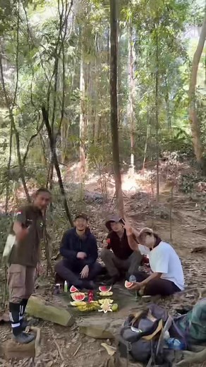 #orangutantour #trip #sumatra #asian #travel #indonesia | Sumatra Explorer