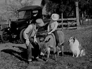 Lassie - Episode 251 - "Fools Gold" - Season 7, Ep 32 - 4/23/1961