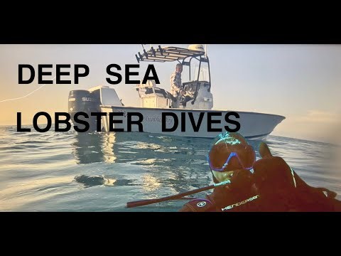 FOGGY LOBSTER DIVES