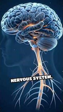 Unlocking Power: Breath Control Secrets