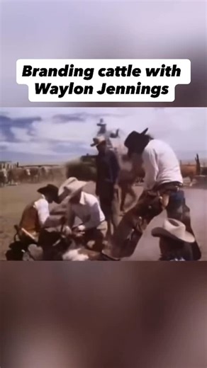 Country Music News on Instagram: "Follow us @OutlawCountryNews for more posts like this 🤠🤝 Waylon Jennings branded cattle on TV in a 1986 documentary called “The Texas Experience - Waylon Jennings Presents the King Ranch,” and also in a February 1990 feature for the Chicago Tribune on the Nashville Network about the Kokernot Ranch, showcasing traditional cattle work and rounding up, often featuring his music. #country #countrymusic #outlawcountry #outlaw #farmer"