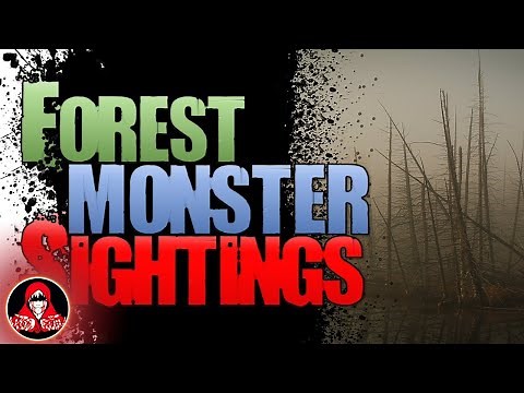 6 REAL Forest Monster Encounters - Darkness Prevails