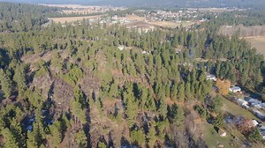 Watch 4k test on Amazon Live