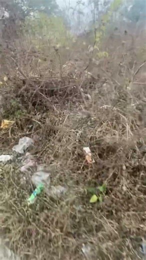 #स्मार्ट #सिटी #स्मार्ट लोग बनाते हैं, #जाहिल नहीं #FailEducation #SwachhBharat #swachhtaabhiyan