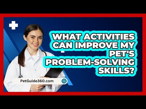 What Activities Can Improve My Pet's Problem-solving Skills? - PetGuide360.com
