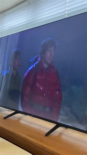 Barney the Tv border collie on TikTok